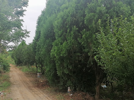 當涂桃園基地展示（五）